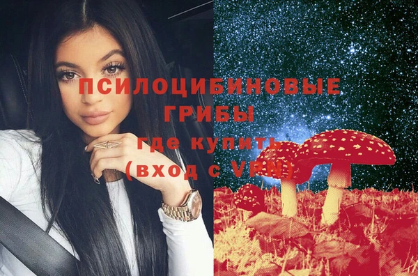 ECSTASY Армянск