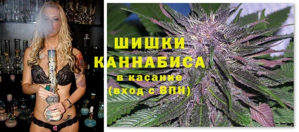 дмт Аркадак