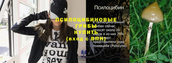 дмт Аркадак